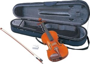 Cose da considerare quando si acquista un nuovo violino