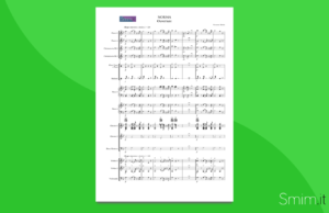 bellini - norma - ouverture | partitura gratis per orchestra scolastica