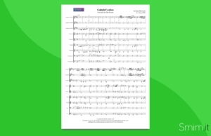 gabriel's oboe, di morricone | partitura per orchestra scolastica